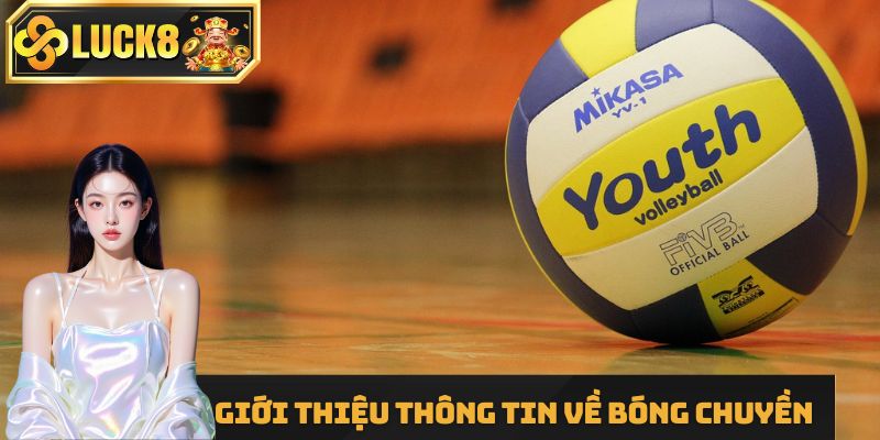 Giới thiệu thông tin về bóng chuyền